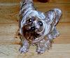 Happy 6th Birthday Lola-dscn3955-200x168-.jpg