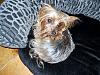 Happy 6th Birthday Lola-dscn3961-200x150-.jpg