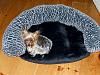 Happy 6th Birthday Lola-dscn3967-200x150-.jpg