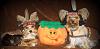 YorkieTalk Ninth Annual Halloween Contest (2013) - Submission thread!-happy-thanksgiving-halloween.jpg