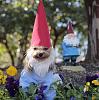 YorkieTalk Ninth Annual Halloween Contest (2013) - Submission thread!-_mg_2219-1024x682-640x426-.jpg