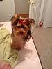 Lexi-1378858_10153284477890716_634747554_n.jpg