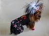 Happy "I Love My Yorkie" Day!-yazmin-divine-11-20-13.jpg