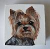 Dog drawings-may2012-159.jpg