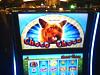 Gambling with Yorkies?!?-choco.jpg