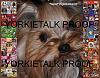 YorkieTalk 2014 Calendars - ORDER TODAY!-28-back.jpg