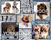 YorkieTalk 2014 Calendars - ORDER TODAY!-02-january.jpg