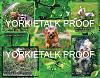 YorkieTalk 2014 Calendars - ORDER TODAY!-06-march.jpg