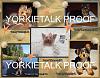 YorkieTalk 2014 Calendars - ORDER TODAY!-12-june.jpg