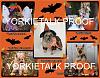 YorkieTalk 2014 Calendars - ORDER TODAY!-20-october.jpg