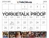 YorkieTalk 2014 Calendars - ORDER TODAY!-03-jan.jpg