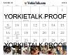 YorkieTalk 2014 Calendars - ORDER TODAY!-07-mar.jpg