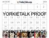 YorkieTalk 2014 Calendars - ORDER TODAY!-17-aug.jpg