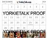 YorkieTalk 2014 Calendars - ORDER TODAY!-25-dec.jpg