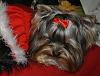 and to all a good night...-139.jpg