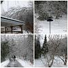 Ice Storm & Power Out-picmonkey-collage3.jpg
