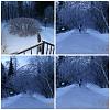 Ice Storm & Power Out-picmonkey-collage2.jpg