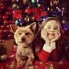 Yorkie puppy with kids-1462994_10153564000620319_2031005667_n.jpg