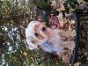 Cotton coat and I want silky!-image.jpg