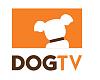 Dog TV-dogtv-logo.jpg