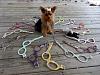 I can't stop buying things for my fur baby.. I think I've gone crazy lol-image.jpg