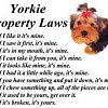 Yorkie Property Law-yorkie-property-law.png