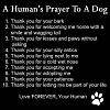 A humans prayer to a dog-humans-prayer-dog.jpg