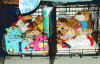 Sleeping arrangements.-kennels_2_500.gif