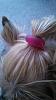 Help with a top knot-img_20140330_183047_602.jpg
