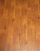 Carpet cleaner (need advice fast please)-img_1487.jpg