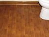 Carpet cleaner (need advice fast please)-img_1488.jpg