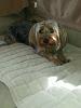 I'm getting a dna test done. Then what??-2014-05-12-09.43.15-600x800-.jpg