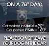 Dog locked in car.....-heatcar.jpg