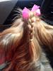 Rosie has a braid!-e6b62ff972a132236bbfc9780ea04402_zps539063d8.jpg