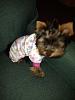 her jammies finally fit-photo-1.jpg