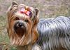 Newbie from Finland-image.jpg