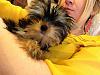 Picture Parade Please-016.jpg