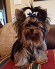 Picture Parade Please-remy-9-mths-old-b.png