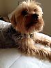 Picture Parade Please-photo-4.jpg