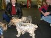 Colorado Yorkie playdate was fun (VIDEO)-starsky-pup-010.jpg