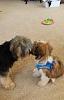 Lexi's new friend-20140906_123249.jpg