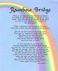 To all that have recently lost their best friend-rainbowbridge_op_655x800.jpg