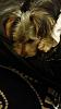 Lets see your teapots (yorkies over 7 pound)-20141005_213855.jpg