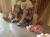 Help!  My Yorkie is very bored.-imagejpg7_zps396a4282.jpg