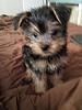 Will you look at my puppy?-macdaddy.jpg