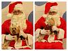 Post a Picture of  Your Yorkie with Santa-image.jpg
