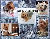 YorkieTalk 2015 Calendars - ORDER TODAY!-02-january.jpg