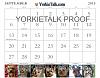 YorkieTalk 2015 Calendars - ORDER TODAY!-19-sep.jpg