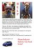 Please Help! Stolen Yorkie from Sarasota Fl-untitled.jpg