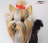 Needle Felted Dog Sculpture-12.jpg